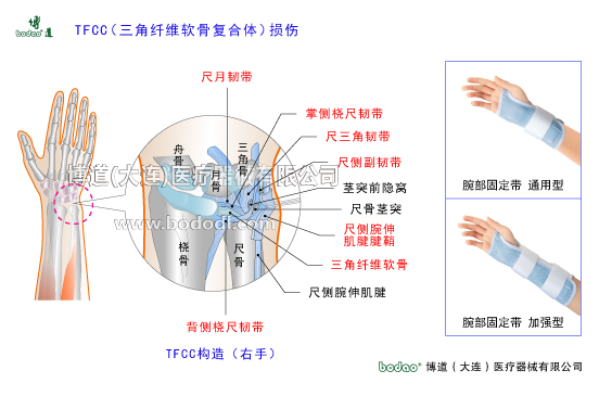 腕關(guān)節(jié)的常見(jiàn)疾病與健康防護(hù)
