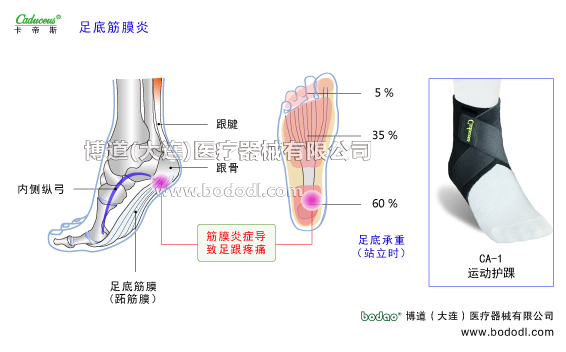 踝關節(jié)的運動損傷與防護