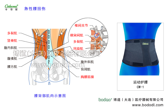 腰椎部的運(yùn)動損傷與防護(hù)