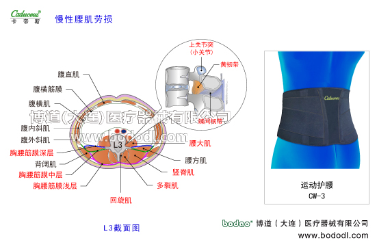 腰椎部的運(yùn)動損傷與防護(hù)