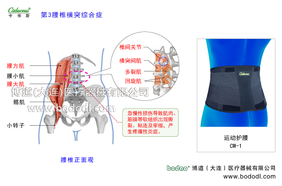 腰椎部的運(yùn)動損傷與防護(hù)