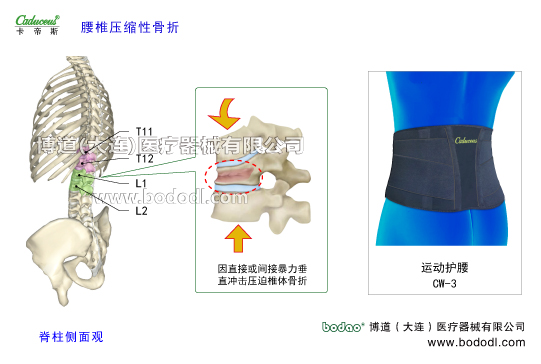 腰椎部的運(yùn)動損傷與防護(hù)