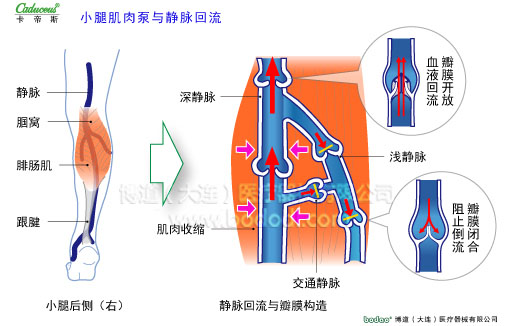 肌肉痙攣與加壓防護(hù)
