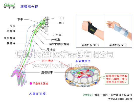 腕關(guān)節(jié)的運動損傷與防護