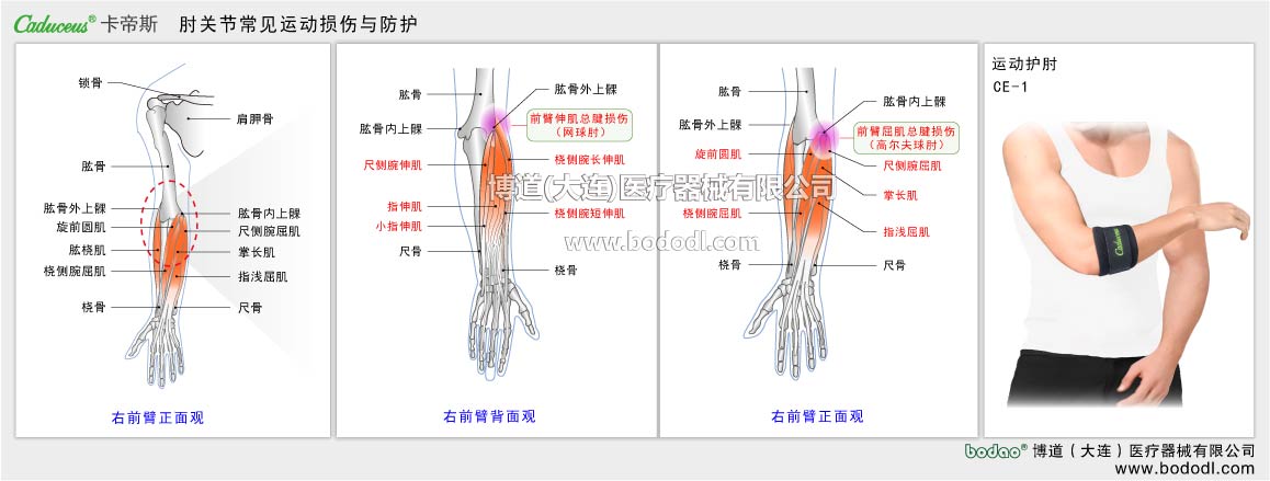 COMMON DISEASES OF  ELBOW JOINT