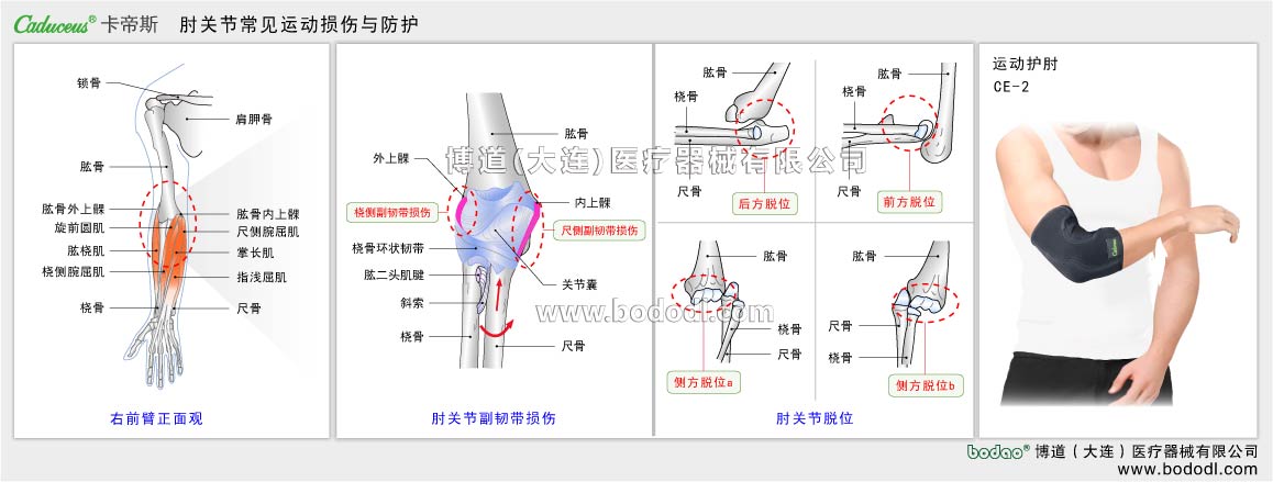 COMMON DISEASES OF  ELBOW JOINT