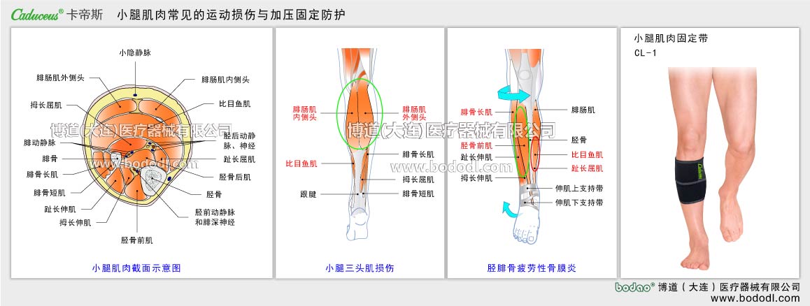 MAJOR SPORTS INJURY OF MUSCLE TISSUE 