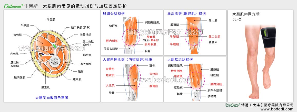 MAJOR SPORTS INJURY OF MUSCLE TISSUE 