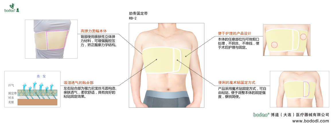 胸肋固定帶