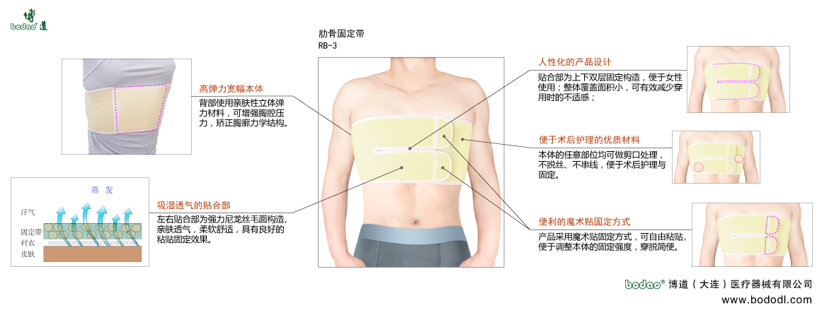 胸肋固定帶