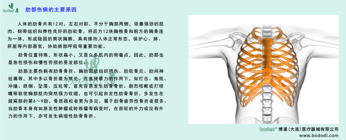 肋部傷病原因