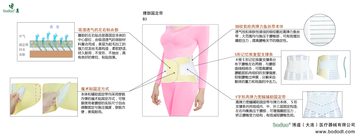 腰部固定帶