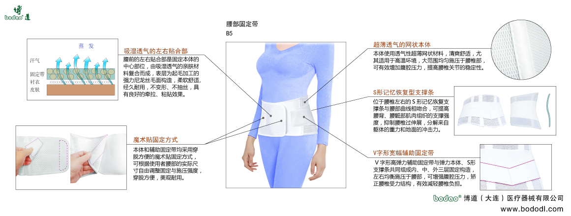 腰部固定帶