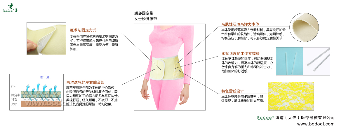 腰部固定帶