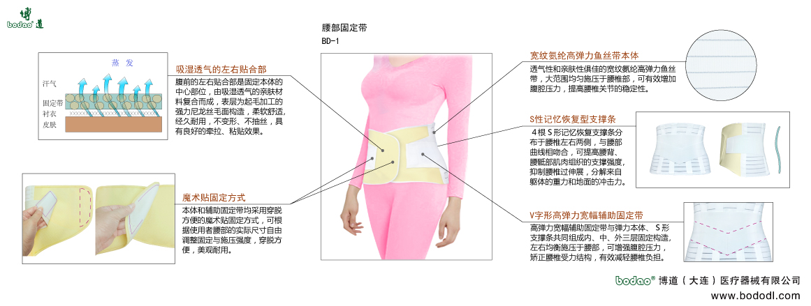 腰部固定帶