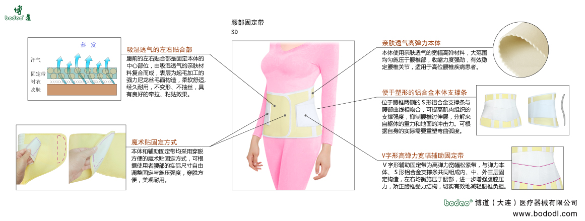 腰部固定帶