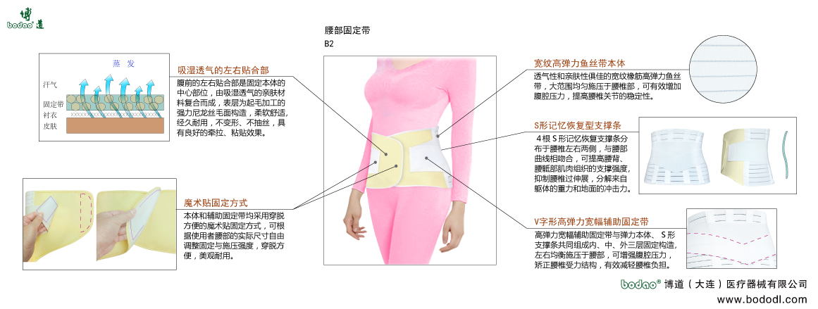 腰部固定帶
