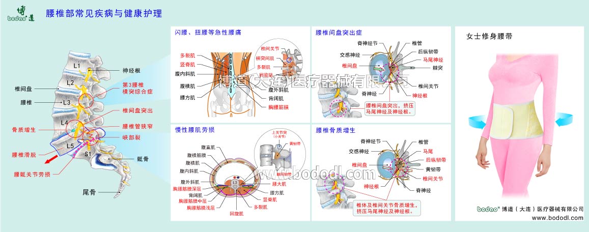 COMMON DISEASES OF LUMBAR SPINE 