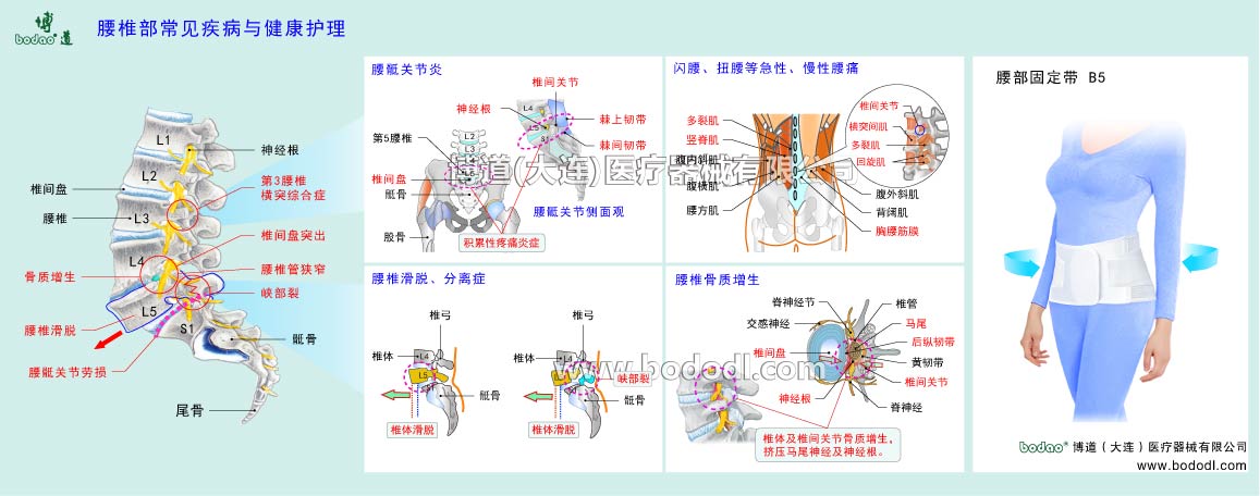 COMMON DISEASES OF LUMBAR SPINE