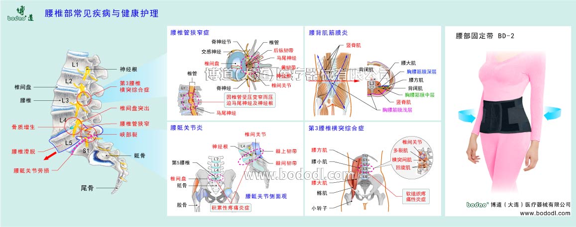 COMMON DISEASES OF LUMBAR SPINE