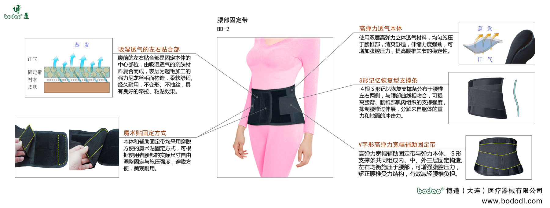 腰部固定帶
