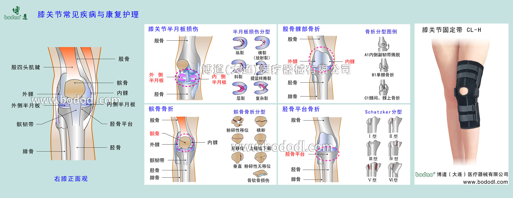 COMMON DISEASES OF KNEE JOINT 