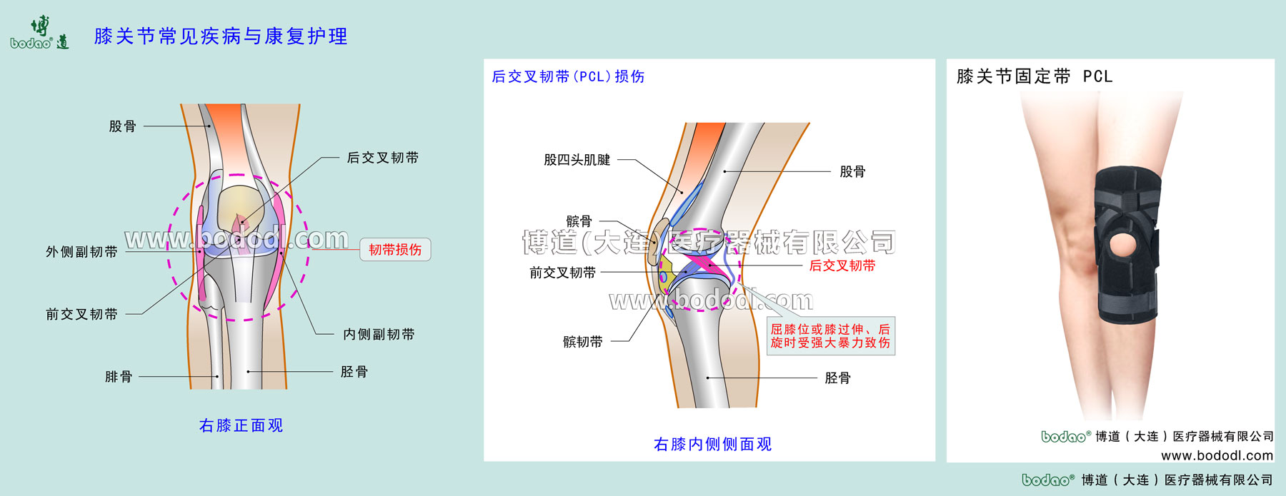 COMMON DISEASES OF KNEE JOINT 