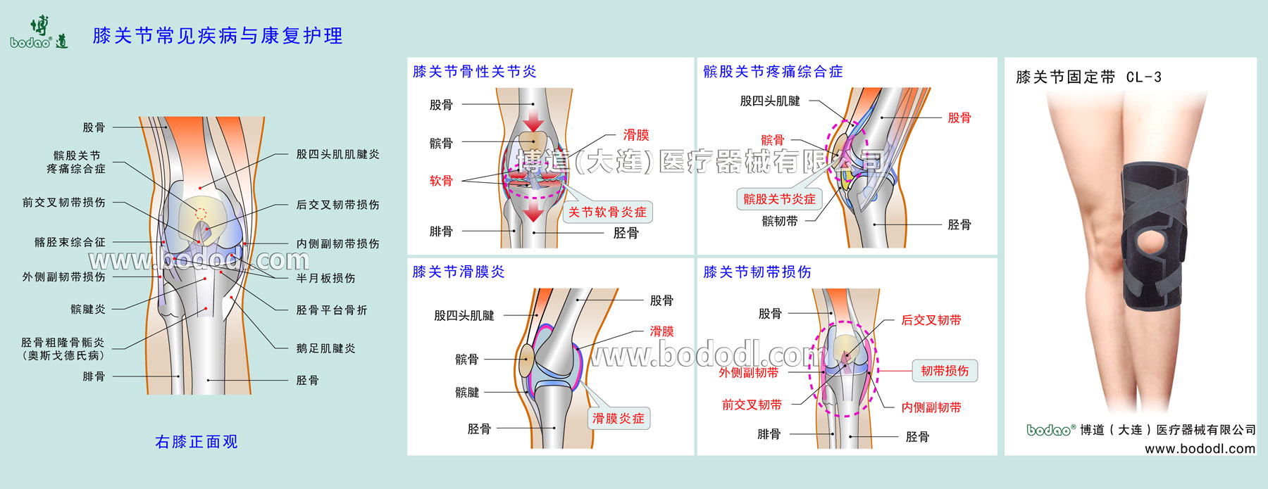 COMMON DISEASES OF KNEE JOINT 