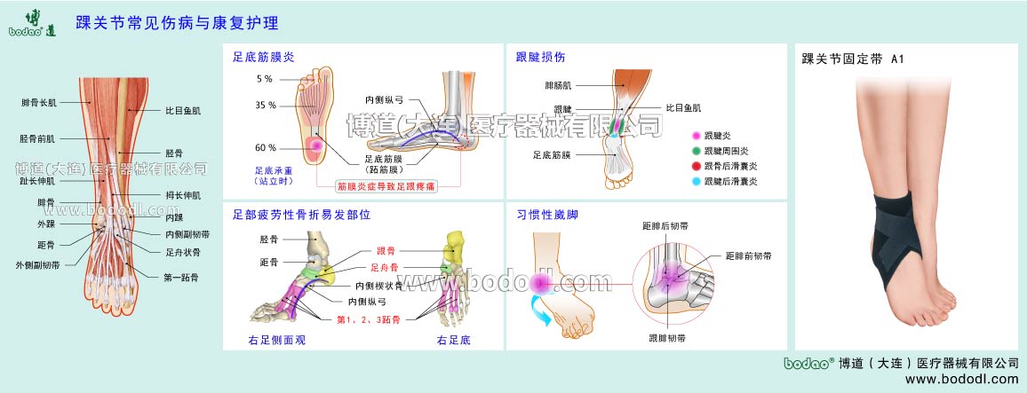 COMMON DISEASES OF ANKLE JOINT 