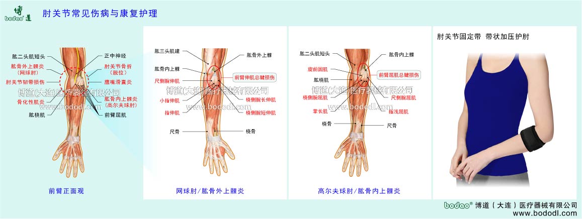 COMMON DISEASES OF  ELBOW JOINT