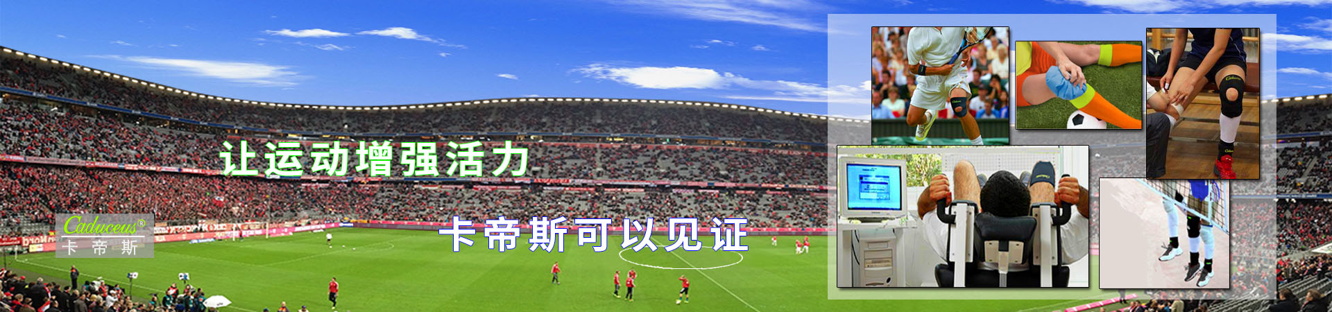 膝部固定帶